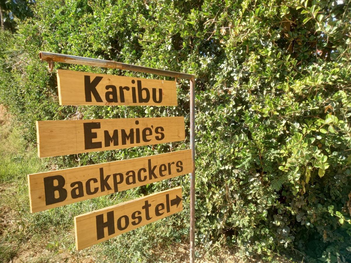 Emmy'S Backpackers Hostel Иринга Экстерьер фото
