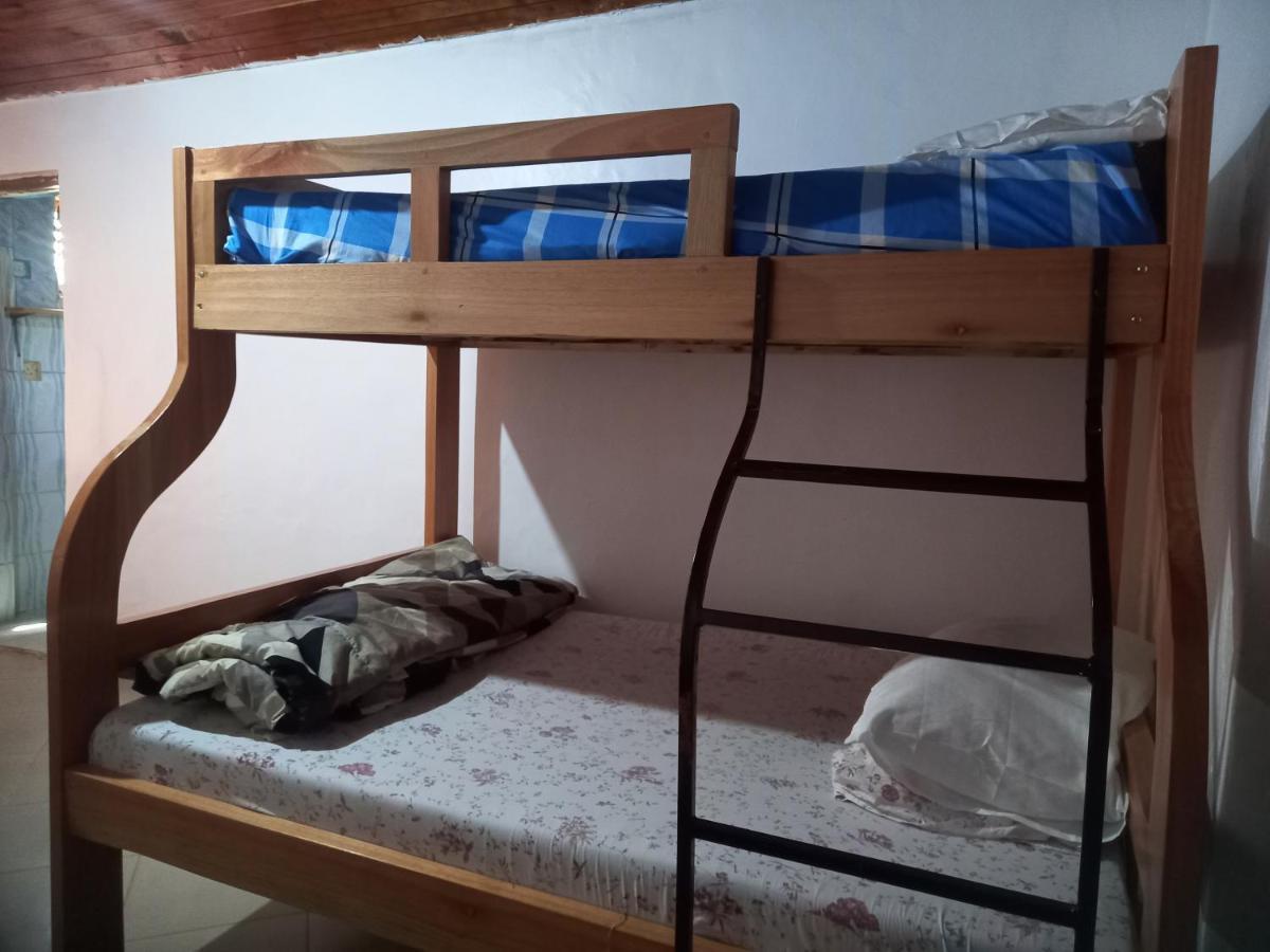 Emmy'S Backpackers Hostel Иринга Экстерьер фото